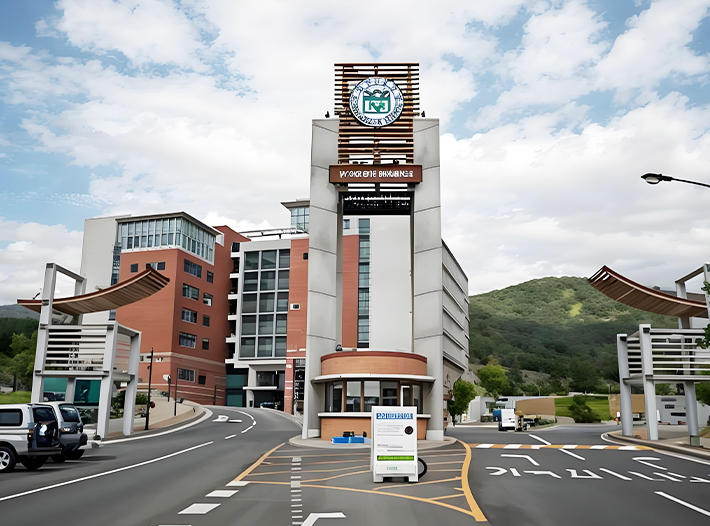 釜山大学0元本硕博